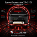 XP 2101